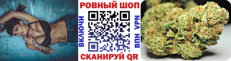 Купить наркотик аптеки Тамбов Галлюциногенные грибы  МЕФ  ГАШИШ  МЕГА вход  МАРИХУАНА 