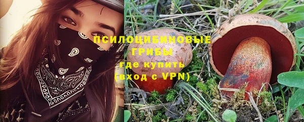 спиды Михайловка