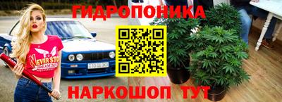 трава Пушкино