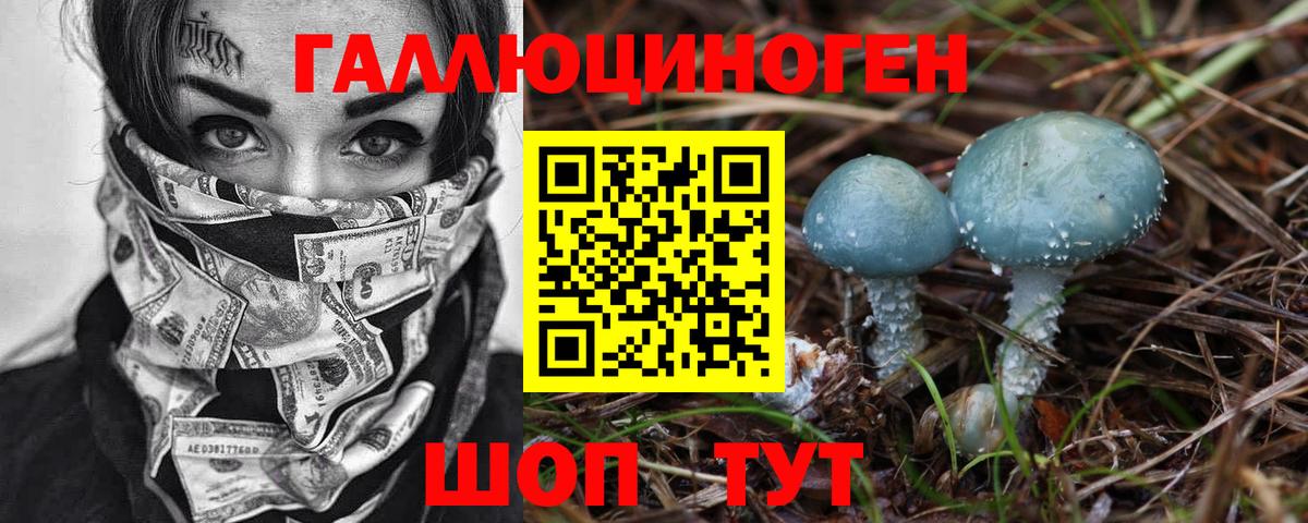 Тамбов  Галлюциногенные грибы Psilocybe  Вход с VPN 