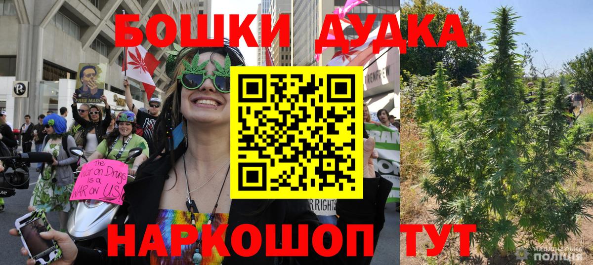 Шишки марихуана планчик Тамбов